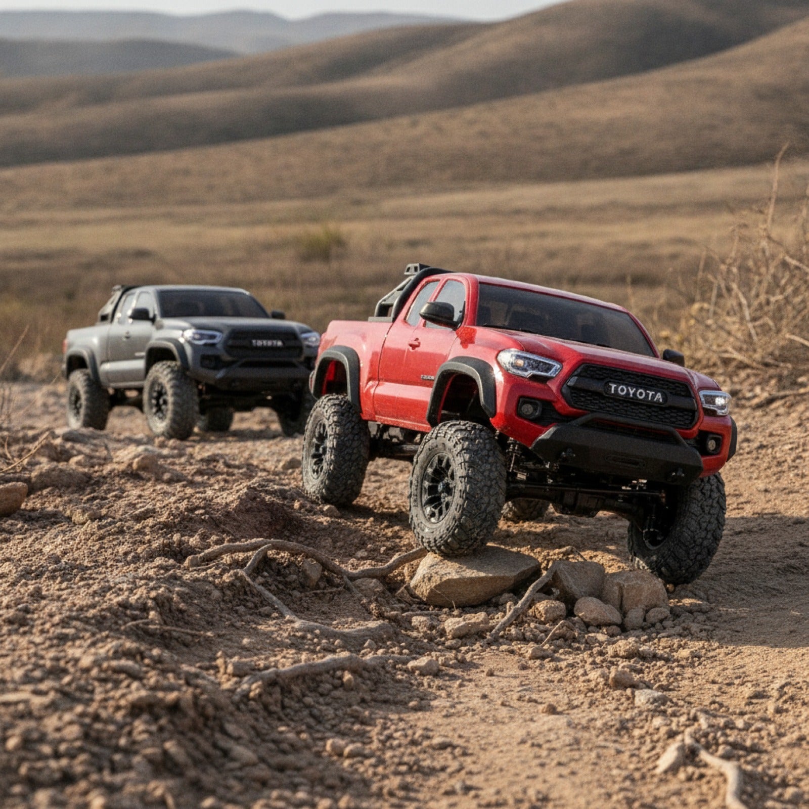 FMS Tacoma FCX24M : Voiture RC 1/24 Tout-Terrain